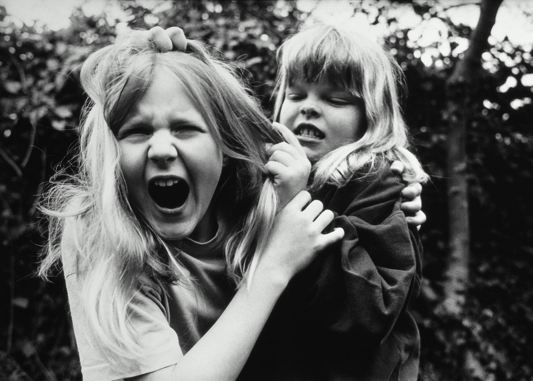 Sibling Rivalry